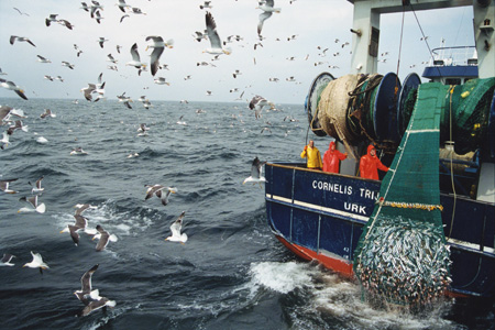 fishermen at North Sea